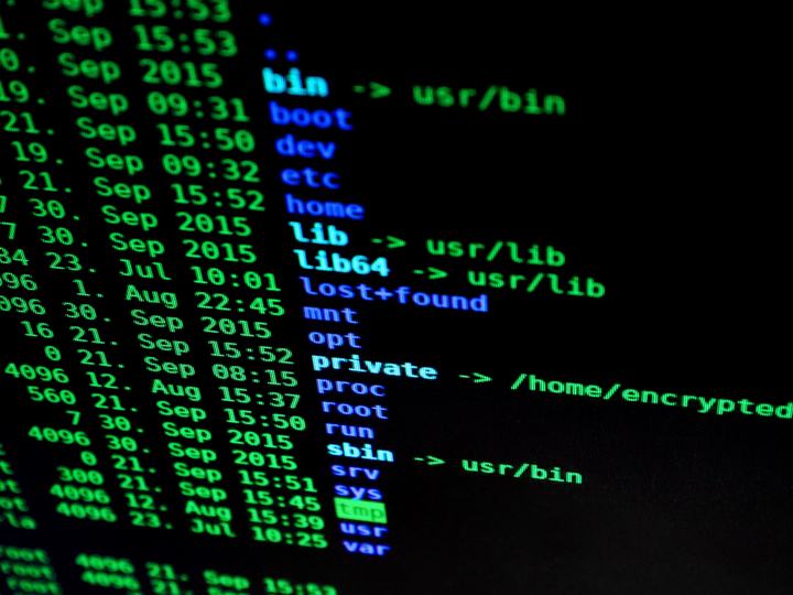 Terminal de Linux mostrando el listado de directorios en texto verde y azul